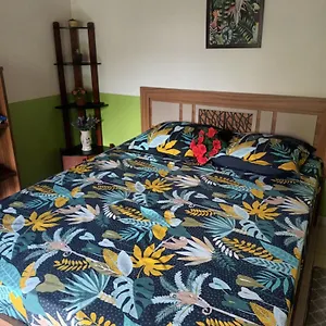 Lovely Flowers In Mount Lavinia Bed & Breakfast